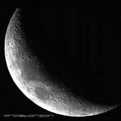 Praetorian (AUS) : Praetorian